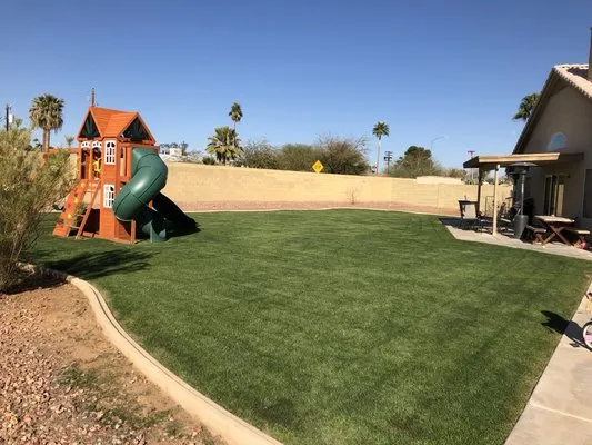 Damone Landscaping Logo