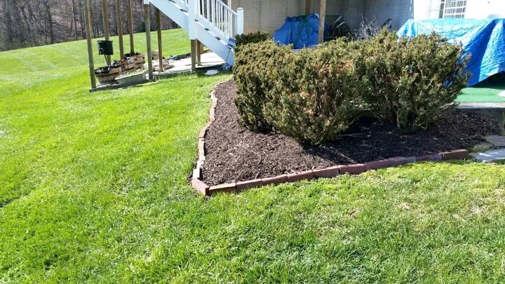 Top-rated lawn mowing service experts serving Windsor Mill, MD - Damon's Lawn Service