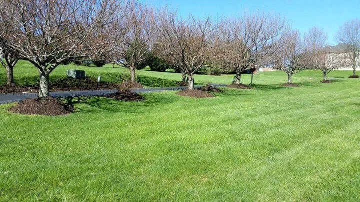 Trusted landscape installation in Windsor Mill, MD - Damon's Lawn Service