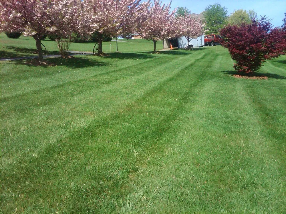 Reliable garden landscaping experts serving Windsor Mill, MD - Damon's Lawn Service