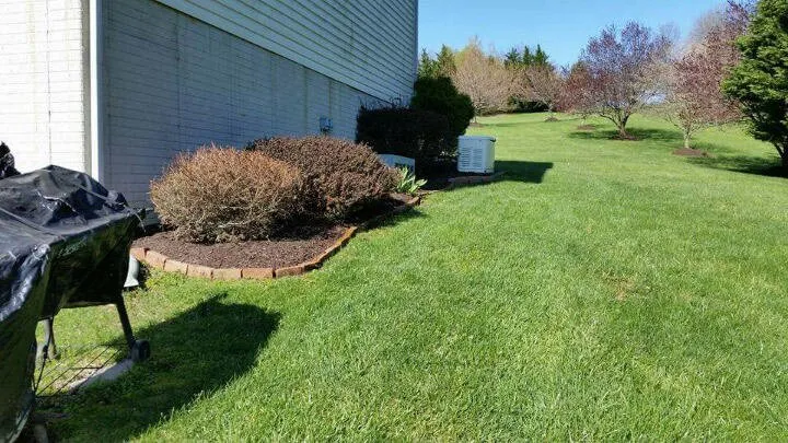 Local yard cleanup service experts serving Windsor Mill, MD - Damon's Lawn Service