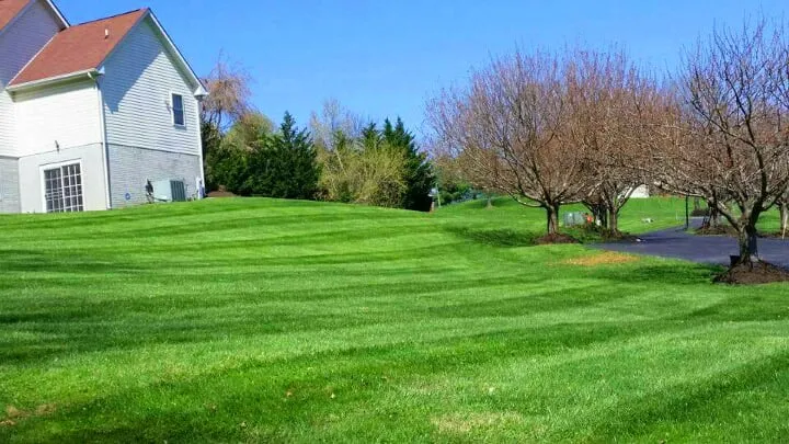 Top-rated garden landscaping experts serving Windsor Mill, MD - Damon's Lawn Service