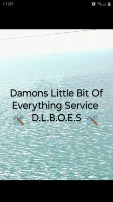 Damons Little Bit Of Everything Service Logo