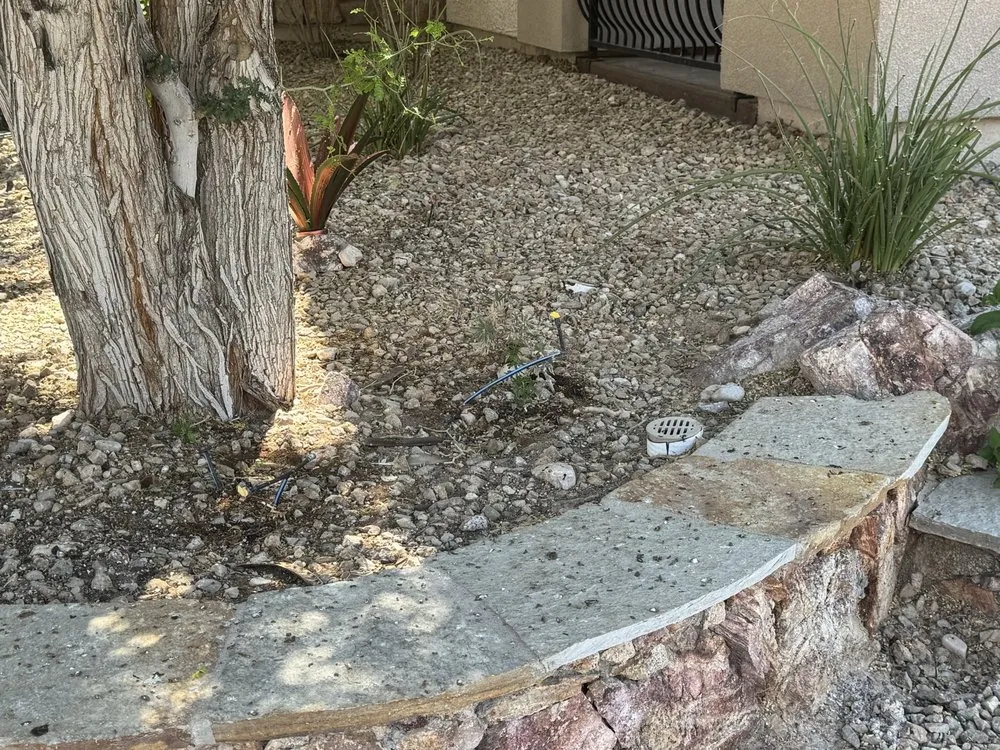 Affordable lawn care service for residential properties in Las Vegas, NV by D'Amore Landscape Designs