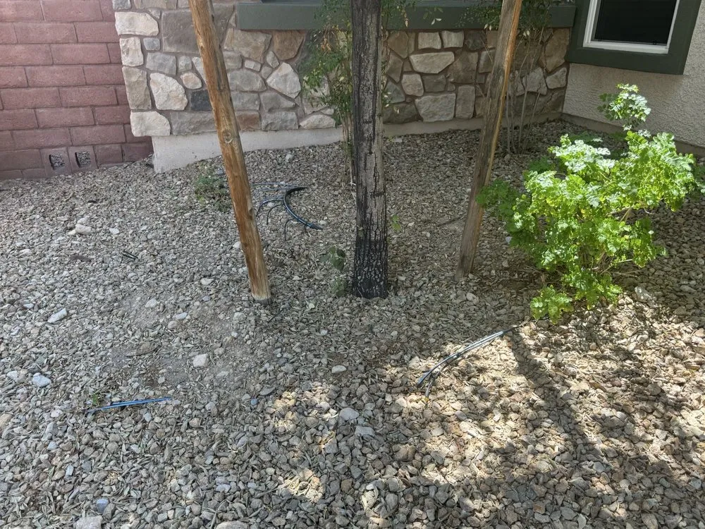 Custom landscape installation in Las Vegas, NV by D'Amore Landscape Designs