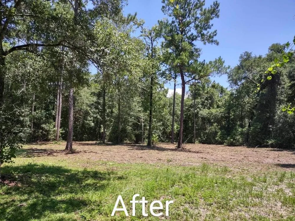 Professional yard maintenance in Branford, FL - Dampier Farms & Property Management