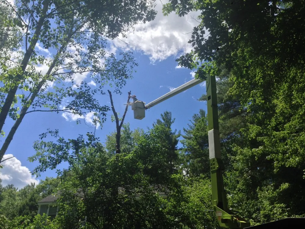 Expert landscaping services for homes in Mont Vernon, NH by Dan Brown Tree