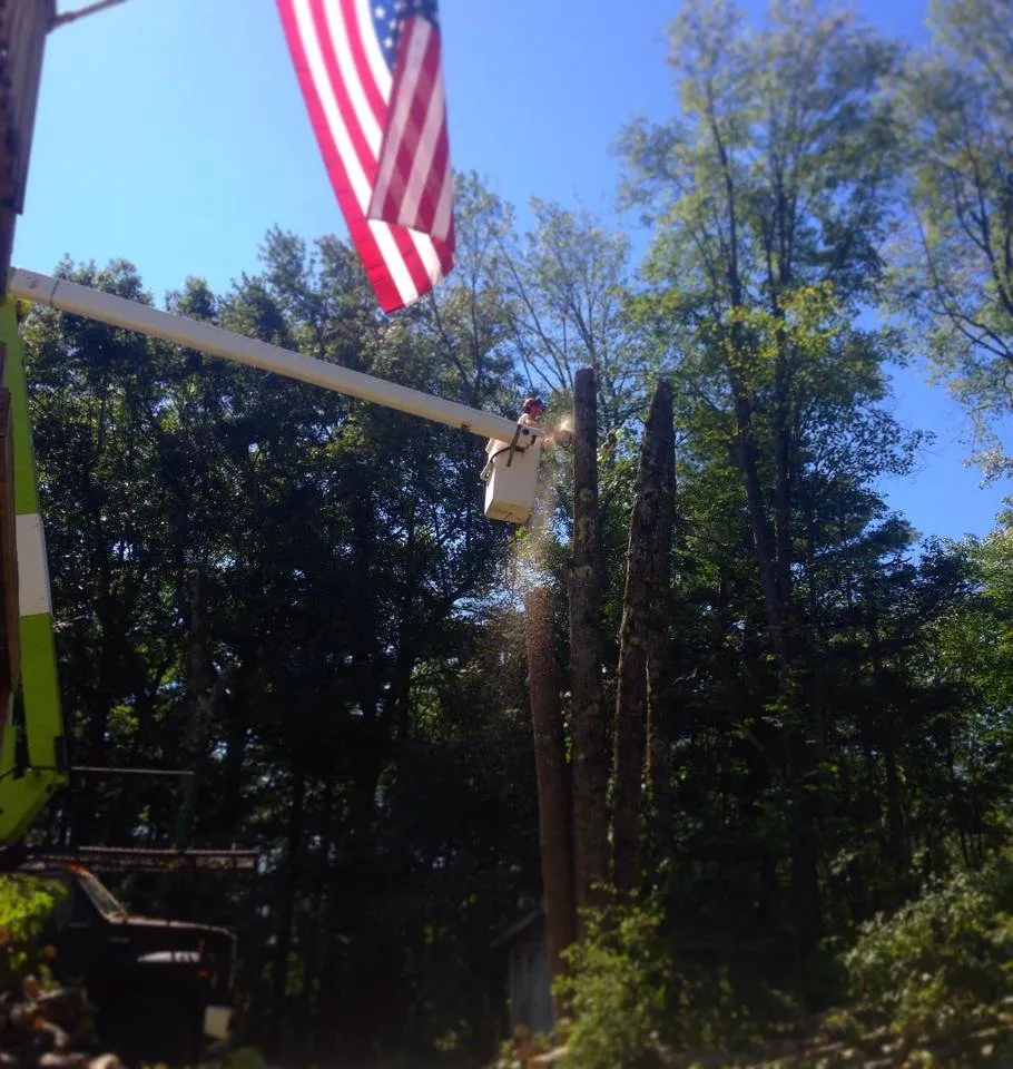 Reliable landscape installation in Mont Vernon, NH - Dan Brown Tree