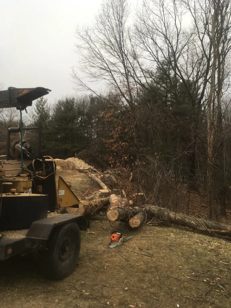 Trusted lawn care service in Mont Vernon, NH - Dan Brown Tree