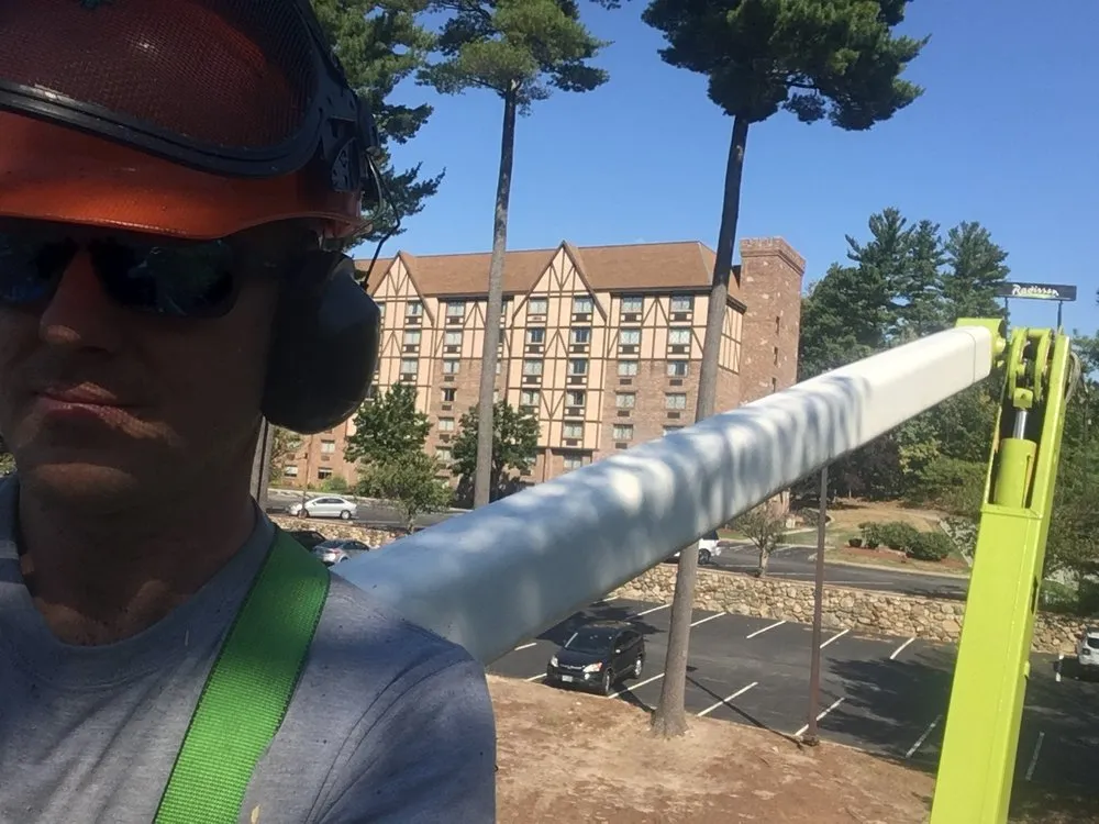 Top-rated landscape design in Mont Vernon, NH - Dan Brown Tree