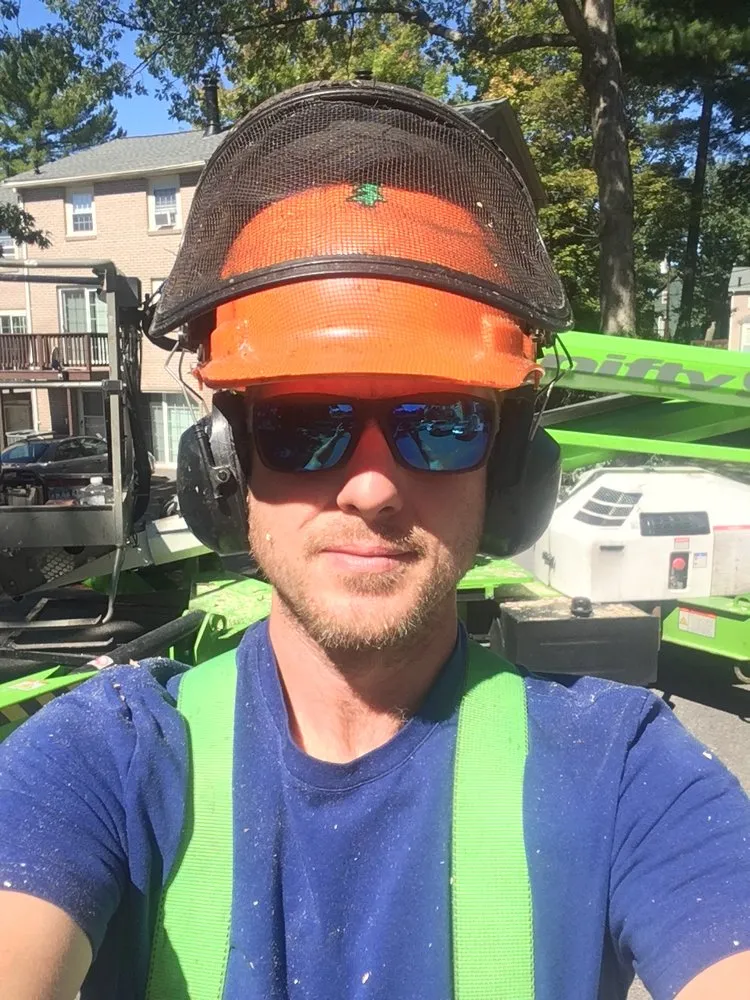 Top-rated yard cleanup service for beautiful yards across Mont Vernon, NH - Dan Brown Tree