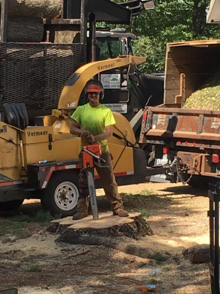 Top-rated outdoor landscaping in Mont Vernon, NH by Dan Brown Tree