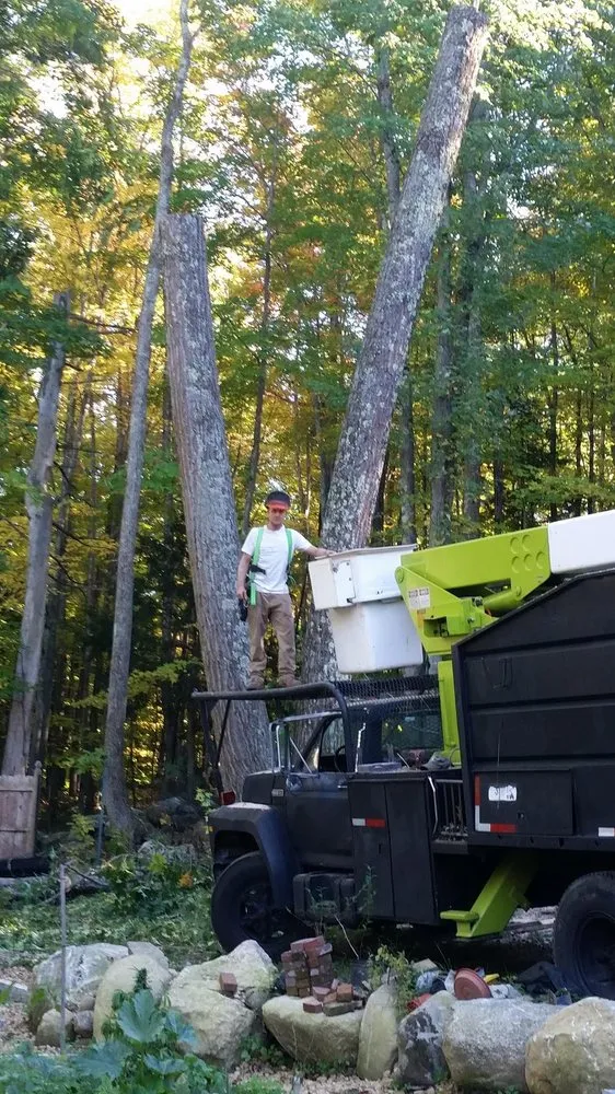 Custom landscape design experts serving Mont Vernon, NH - Dan Brown Tree