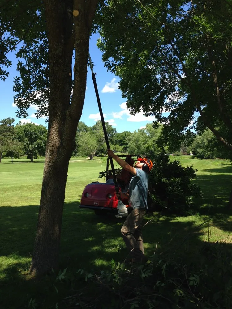 Expert yard cleanup service for homes in Mont Vernon, NH by Dan Brown Tree