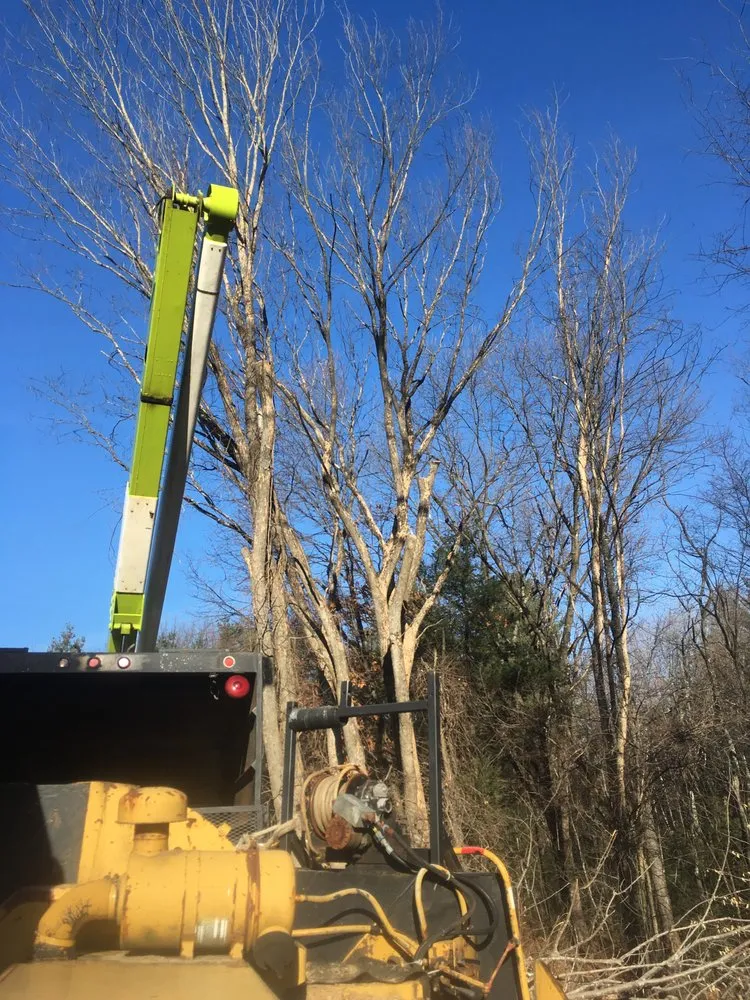Local landscaping services for homes across Mont Vernon, NH - Dan Brown Tree