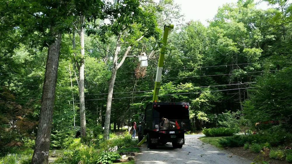 Top-rated outdoor landscaping experts serving Mont Vernon, NH - Dan Brown Tree