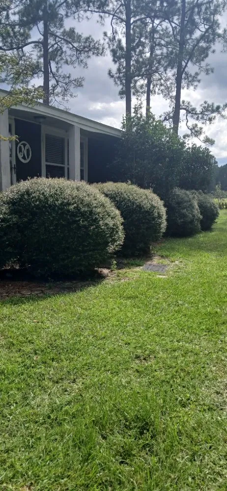Trusted lawn care service for residential properties across Ocilla, GA - Dan Dans Lawn Maintenance