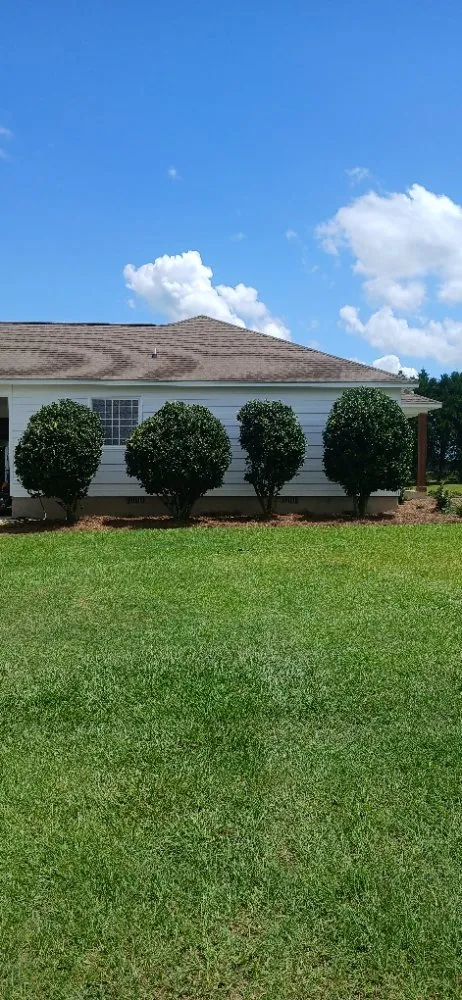 Affordable lawn mowing service experts serving Ocilla, GA - Dan Dans Lawn Maintenance