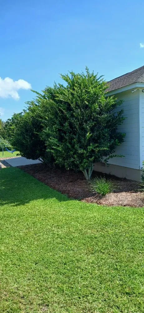 Top-rated outdoor landscaping in Ocilla, GA by Dan Dans Lawn Maintenance