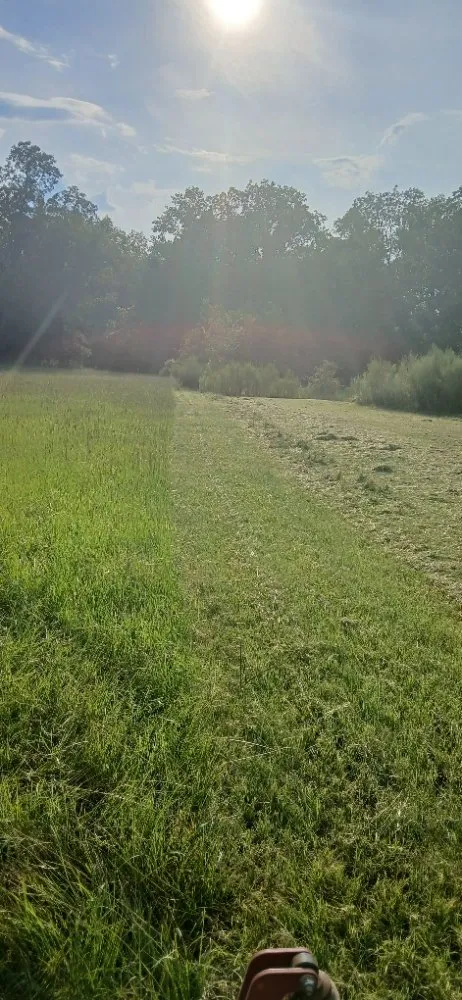 Reliable landscape installation in Ocilla, GA by Dan Dans Lawn Maintenance