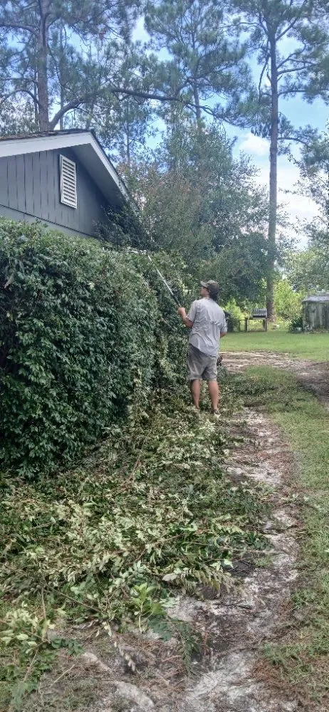 Trusted landscaping services for beautiful yards in Ocilla, GA by Dan Dans Lawn Maintenance