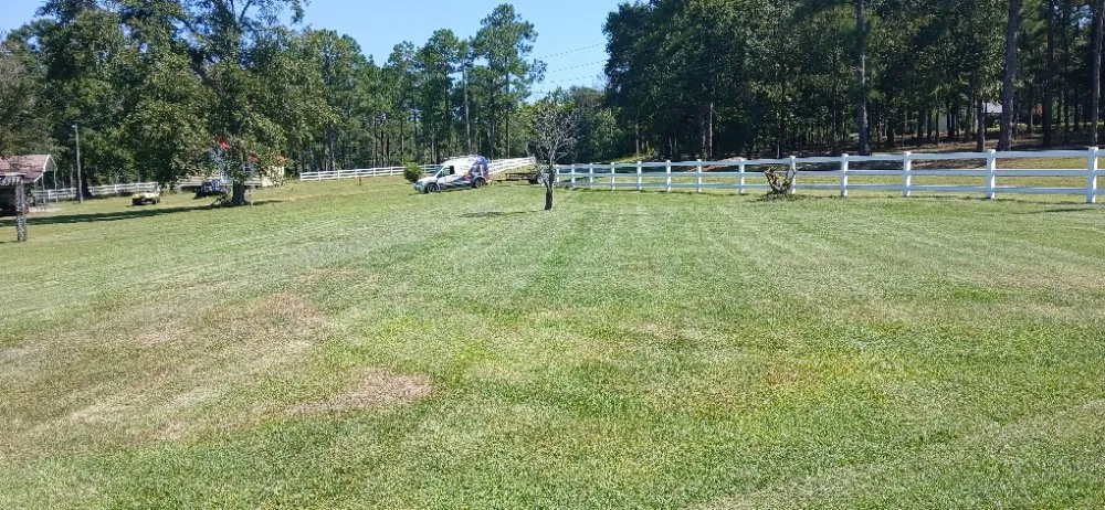 Custom outdoor landscaping in Ocilla, GA by Dan Dans Lawn Maintenance