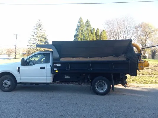 Dan Massian Landscape Logo