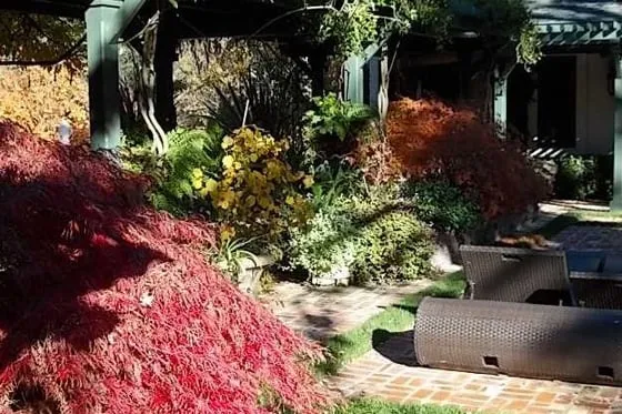 Local residential landscaping for outdoor upgrades across Brentwood, CA - Dan Mercado Landscaping