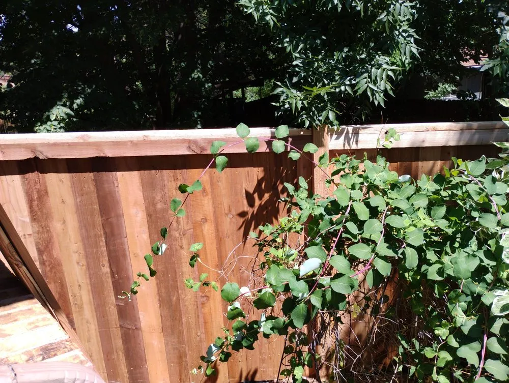 Custom landscape design in Littleton, CO by Dan Owens Remodeling and Construction