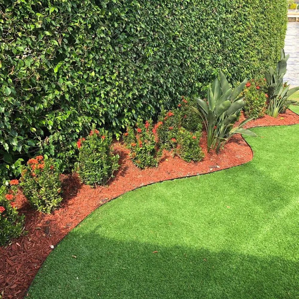 Top-rated yard cleanup service for outdoor upgrades in Fort Lauderdale, FL by Dan Ramos Landscaping