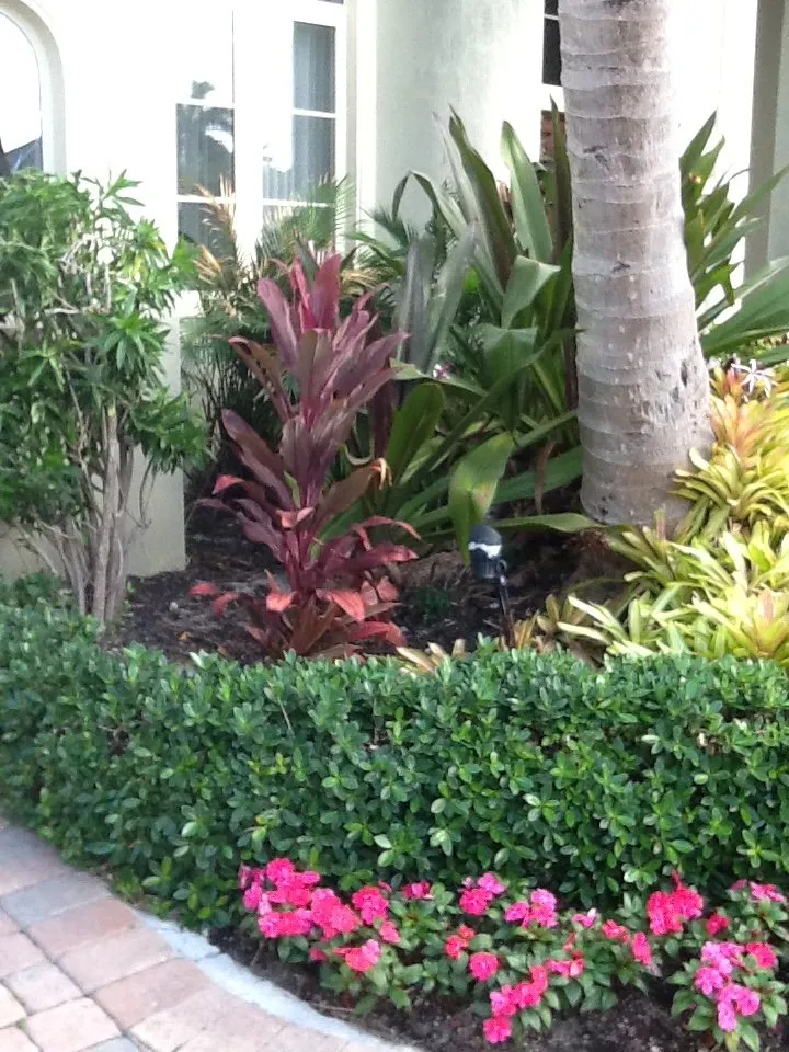 Expert lawn mowing service in Fort Lauderdale, FL by Dan Ramos Landscaping