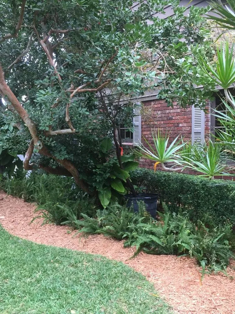 Reliable residential landscaping in Fort Lauderdale, FL - Dan Ramos Landscaping