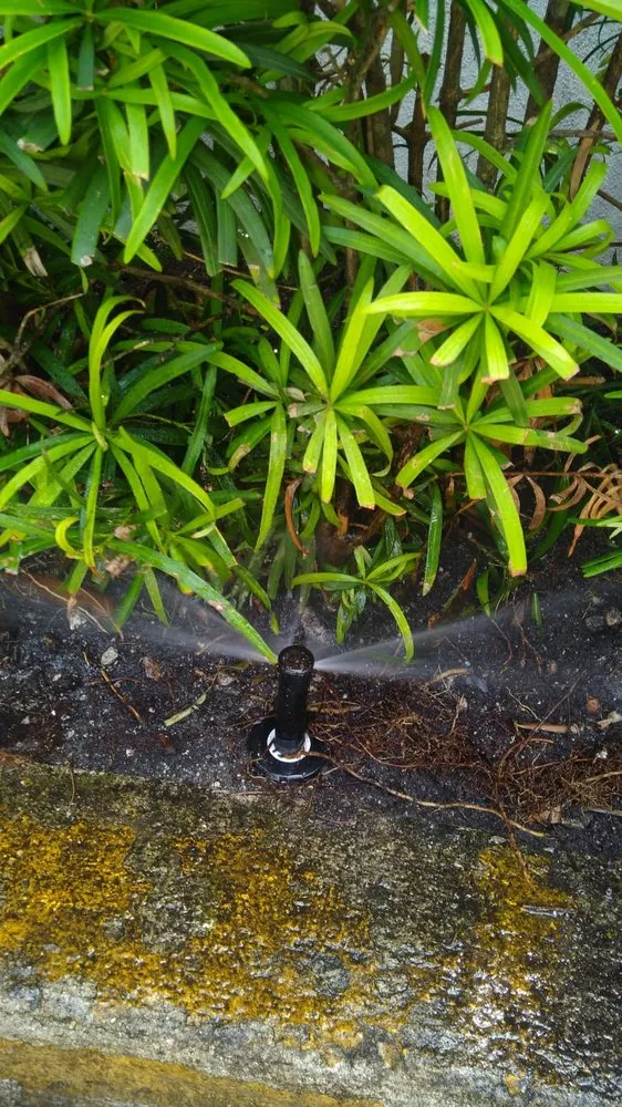 Reliable landscaping services experts serving Fort Lauderdale, FL - Dan Ramos Landscaping