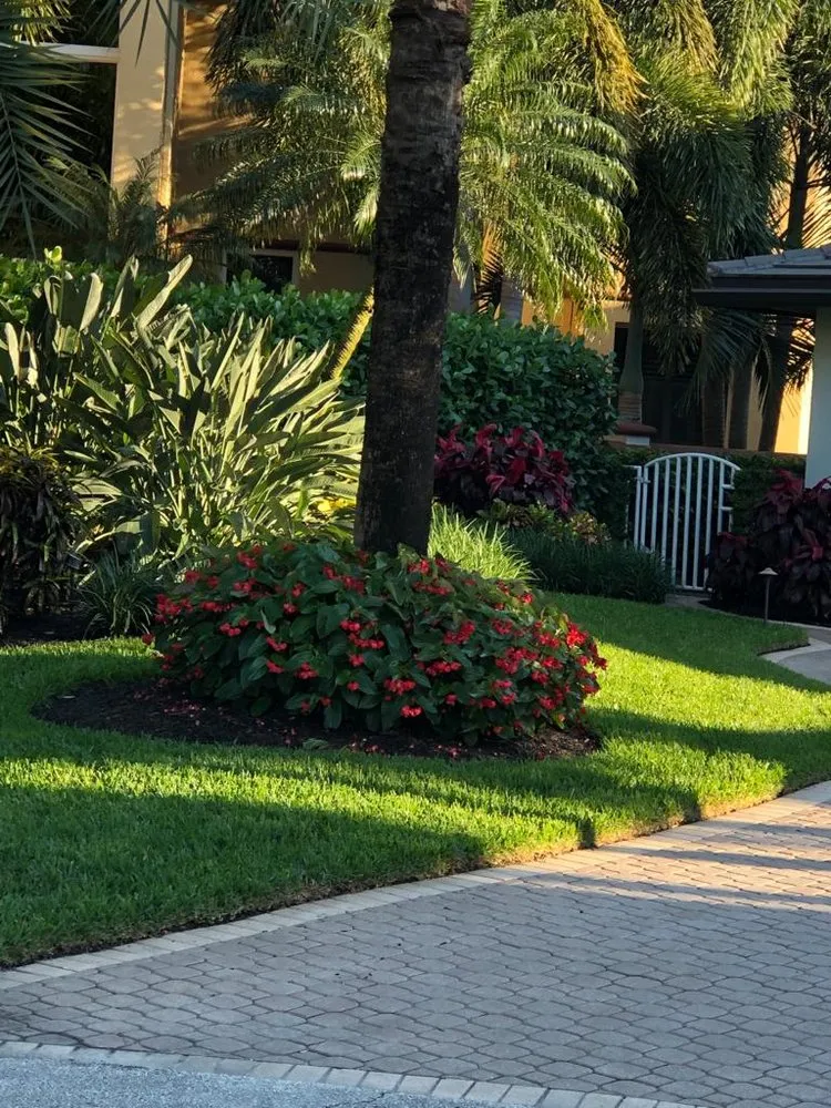 Affordable lawn care service in Fort Lauderdale, FL - Dan Ramos Landscaping