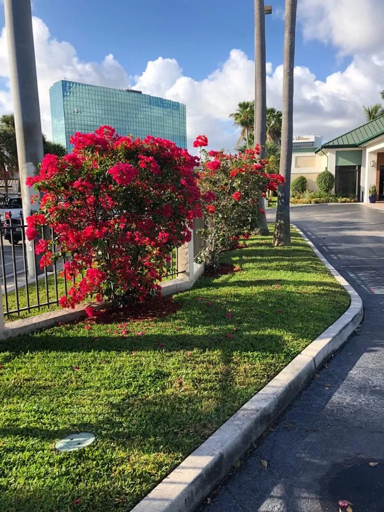 Trusted lawn care service in Fort Lauderdale, FL by Dan Ramos Landscaping