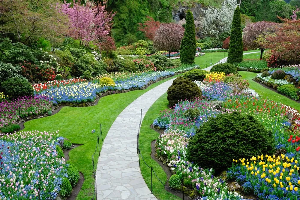 Affordable yard cleanup service for beautiful yards across Winchester, VA - Dan Sly's Tree & Landscaping