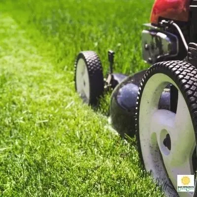 Dan Sprung’s Lawn Care