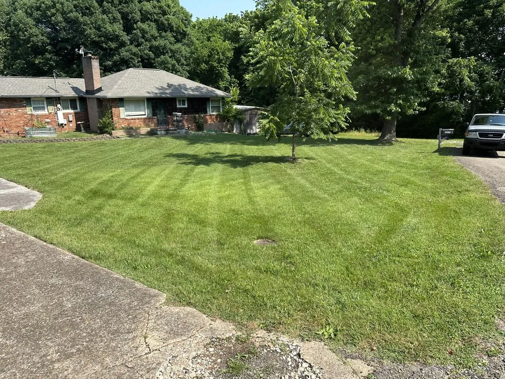 Local outdoor landscaping for year-round maintenance across Knoxville, TN - Dan The Caveman Lawn Service