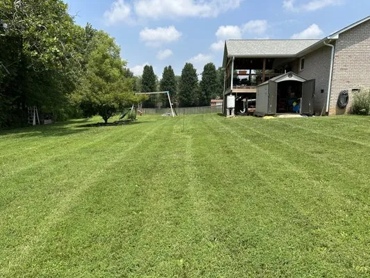 Dan The Caveman Lawn Service Logo