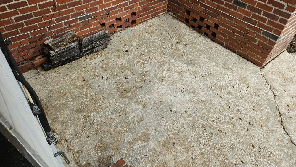 Professional outdoor landscaping in Jacksonville, FL by Dan The Landscapin' Man