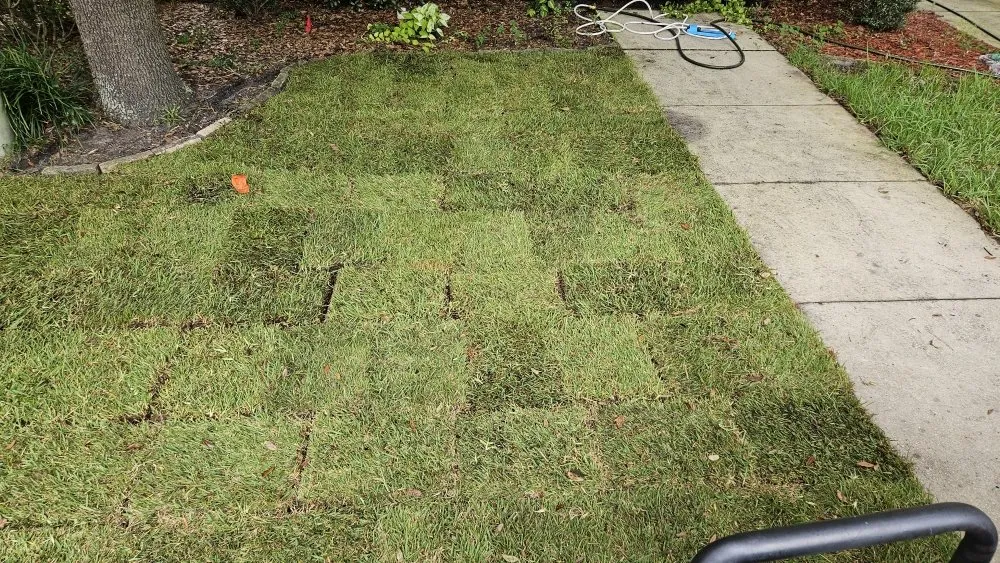 Expert lawn mowing service for residential properties across Jacksonville, FL - Dan The Landscapin' Man