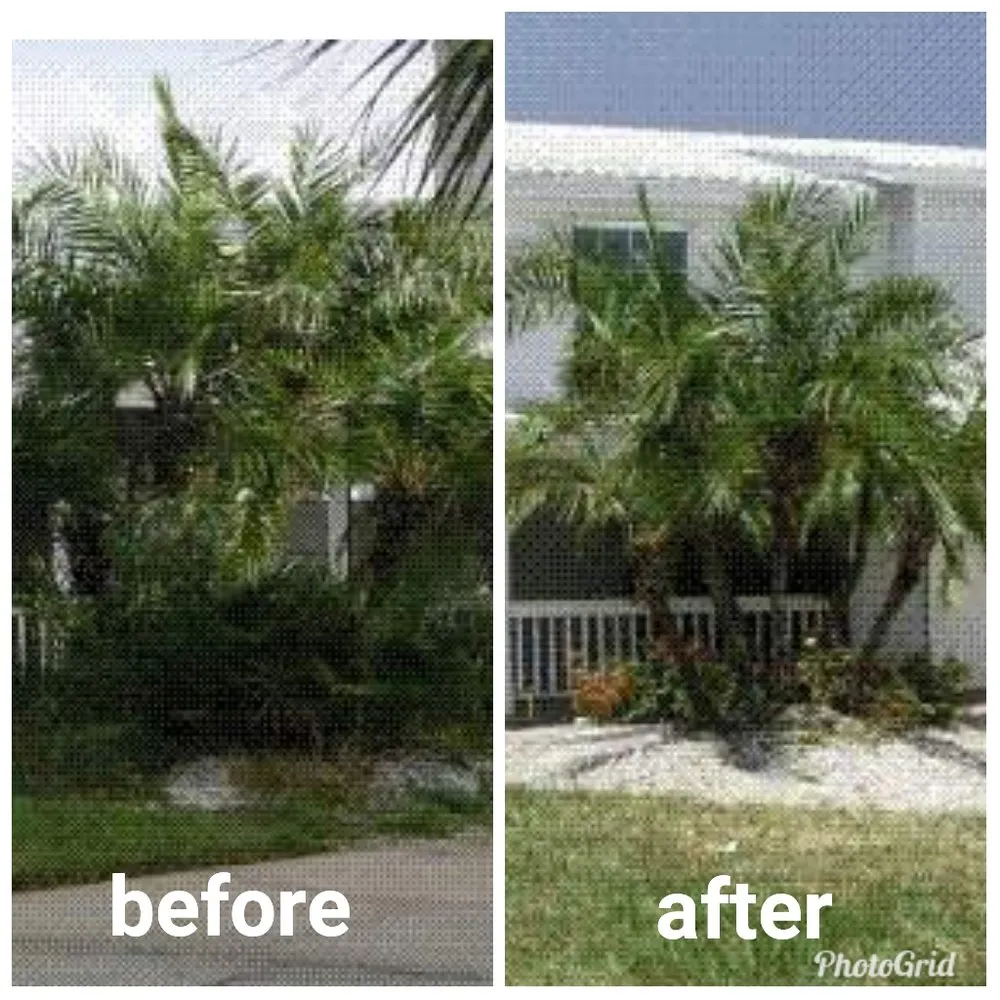 Reliable landscaping services for homes in Santa Maria, CA by Dan The Maintenance Man