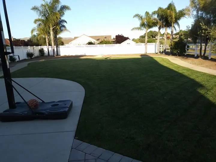 Expert landscaping services experts serving Santa Maria, CA - Dan The Maintenance Man