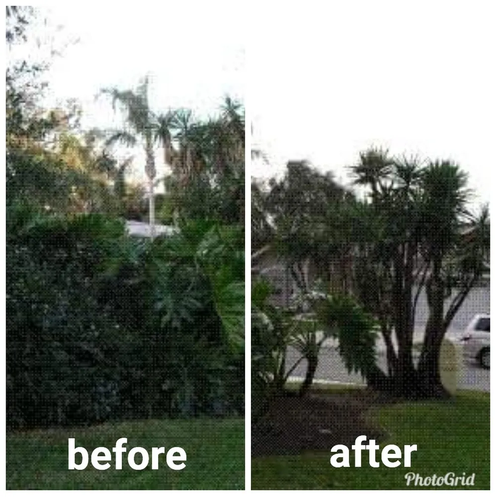 Top-rated residential landscaping in Santa Maria, CA - Dan The Maintenance Man