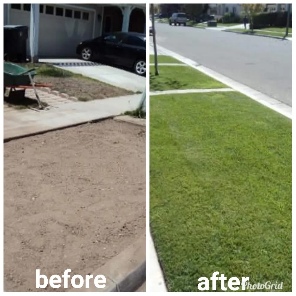 Professional lawn care service for homes in Santa Maria, CA by Dan The Maintenance Man