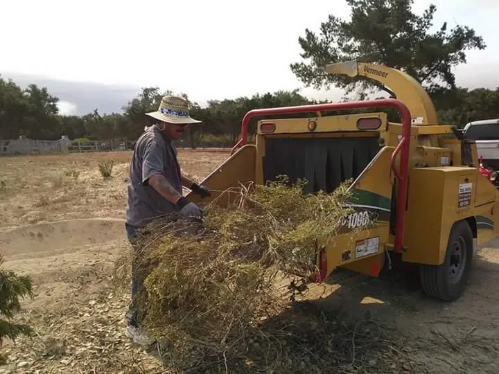 Trusted landscaping services in Santa Maria, CA by Dan The Maintenance Man