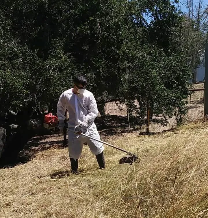 Expert residential landscaping in Santa Maria, CA by Dan The Maintenance Man