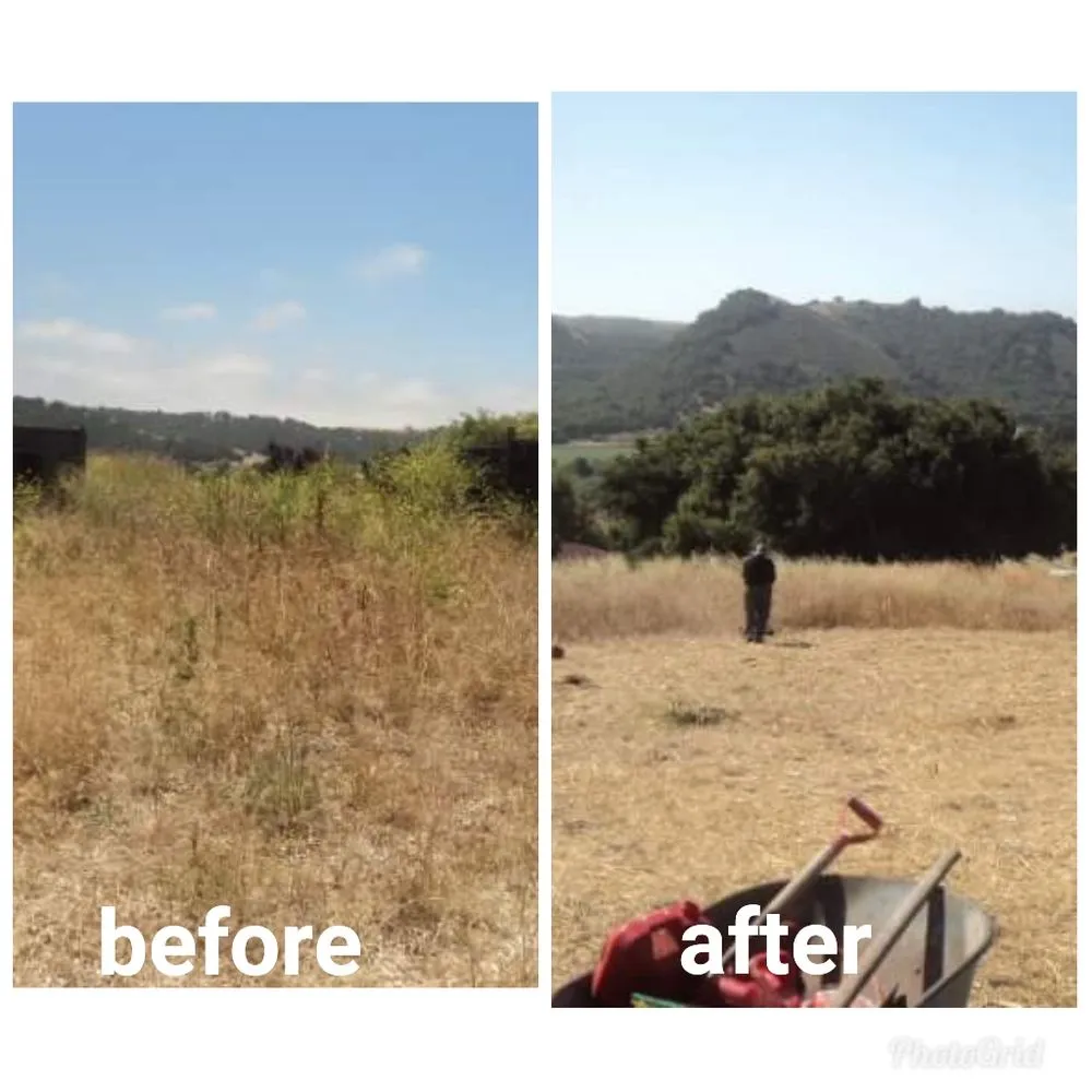 Expert outdoor landscaping for homes across Santa Maria, CA - Dan The Maintenance Man