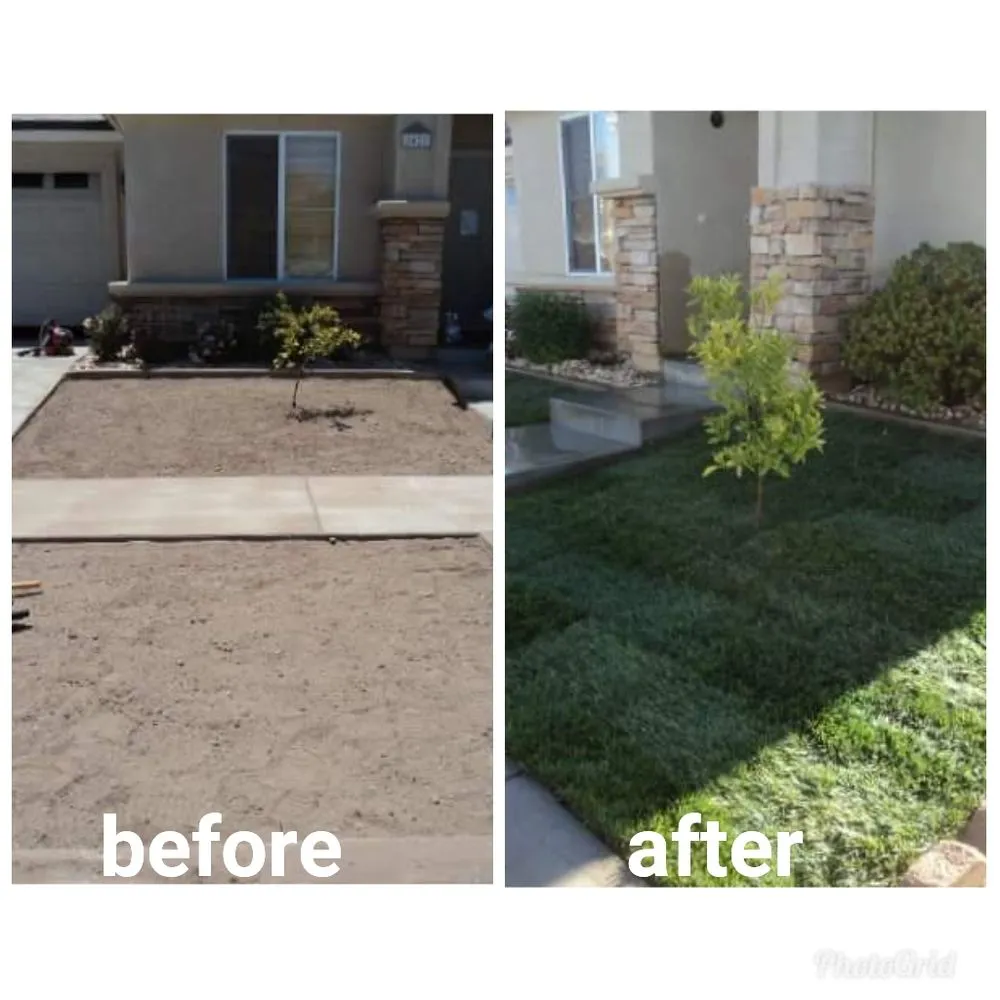 Professional yard maintenance near you across Santa Maria, CA - Dan The Maintenance Man