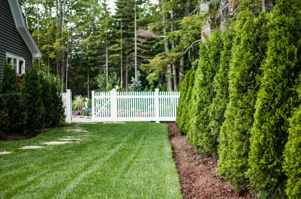 Trusted yard maintenance experts serving Kennebunkport, ME - Dan Viehmann Landscaping and Property Management